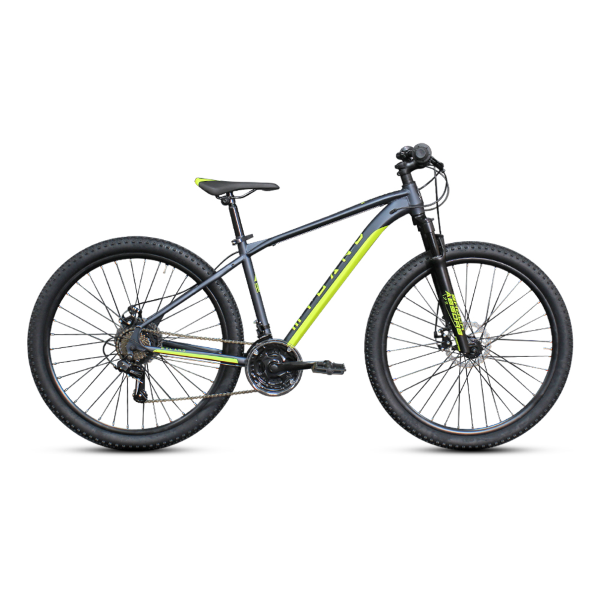 ALTURA 29 - GRIGIO 48 - GRIGIO 48