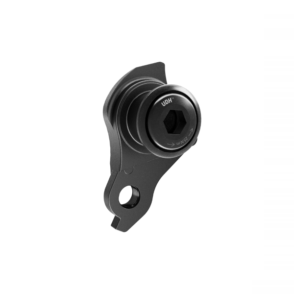Forcellino UDH (Universal Derailleur Hanger)