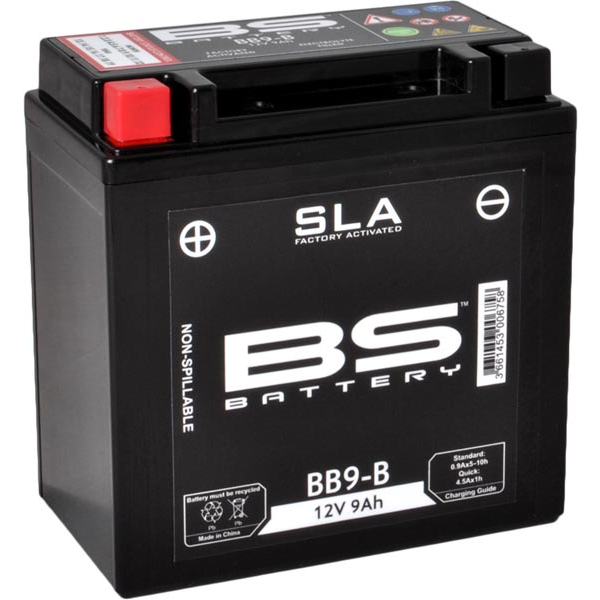 BS-Battery-246650195.png